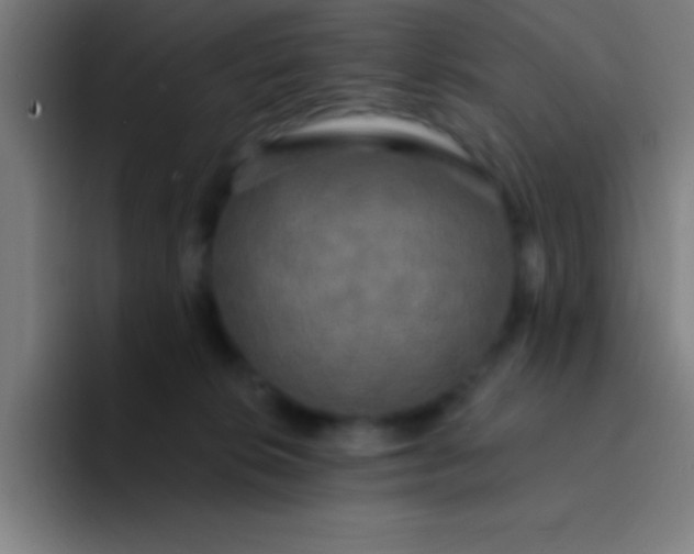 X0000094350276200711162036