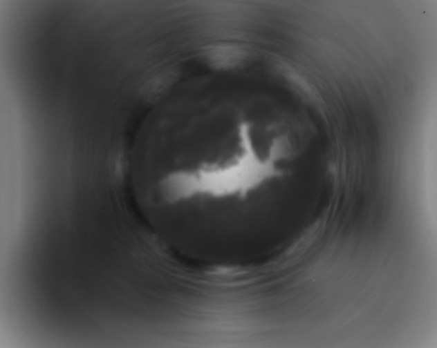 X0000094350277200711162036