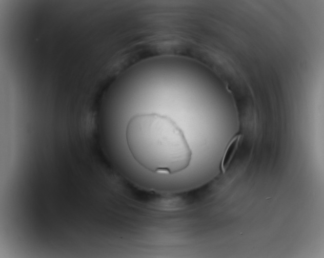 X0000094350278200711162036