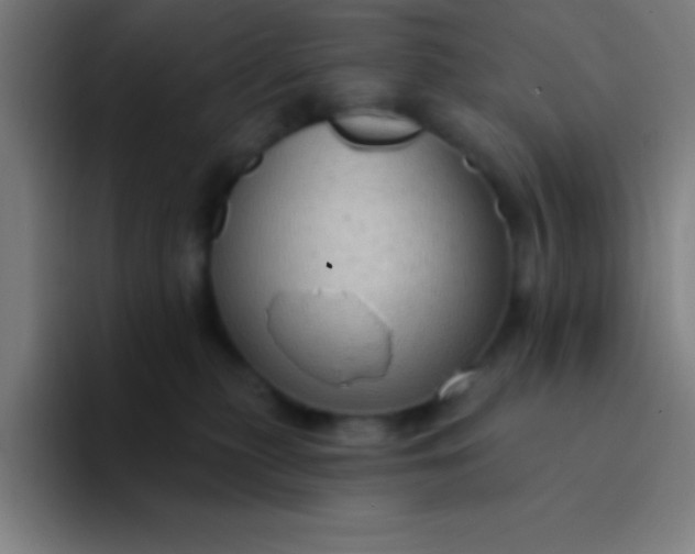 X0000094350279200711162036