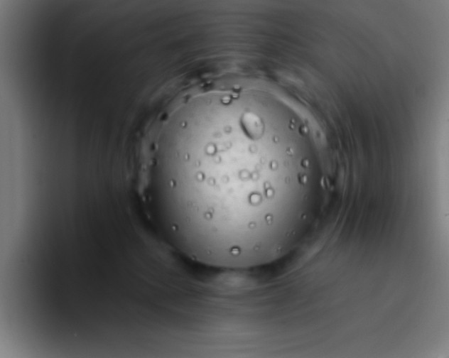 X0000094350280200711162036