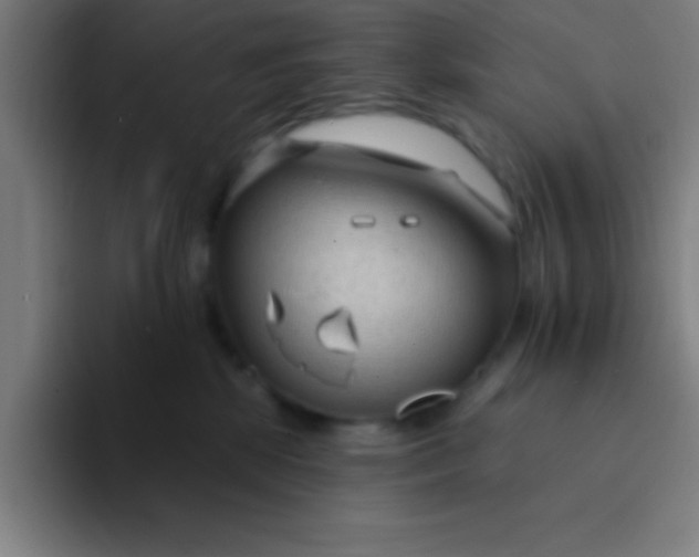 X0000094350281200711162036