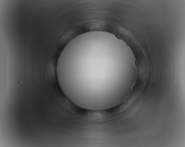 X0000094350282200711162036