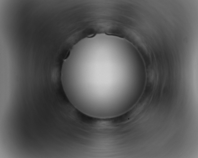 X0000094350283200711162036