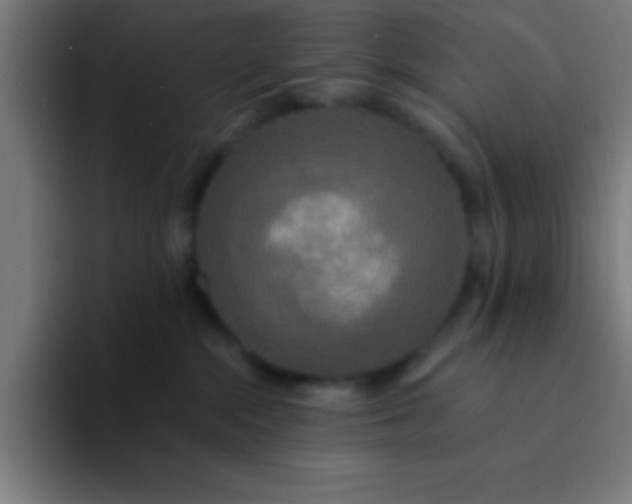 X0000094350284200711162036