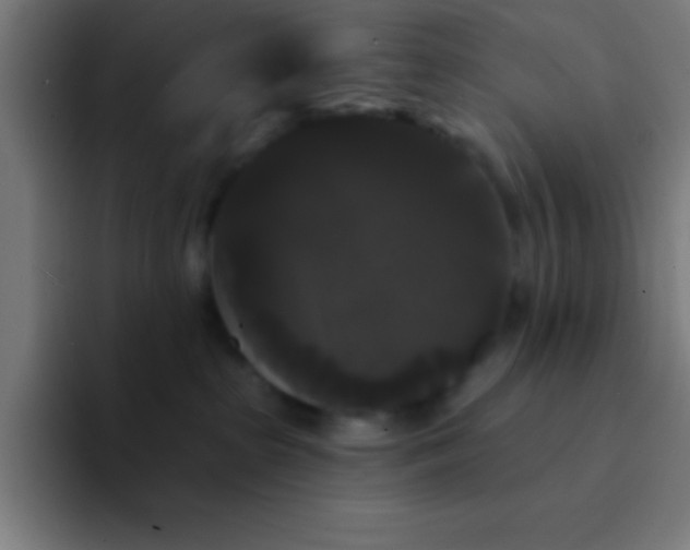 X0000094350285200711162036