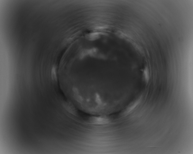 X0000094350286200711162036