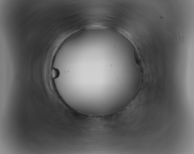 X0000094350289200711162035