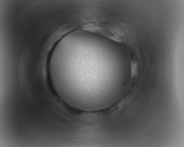 X0000094350291200711162035