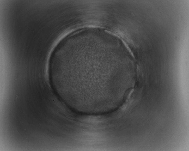 X0000094350292200711162035