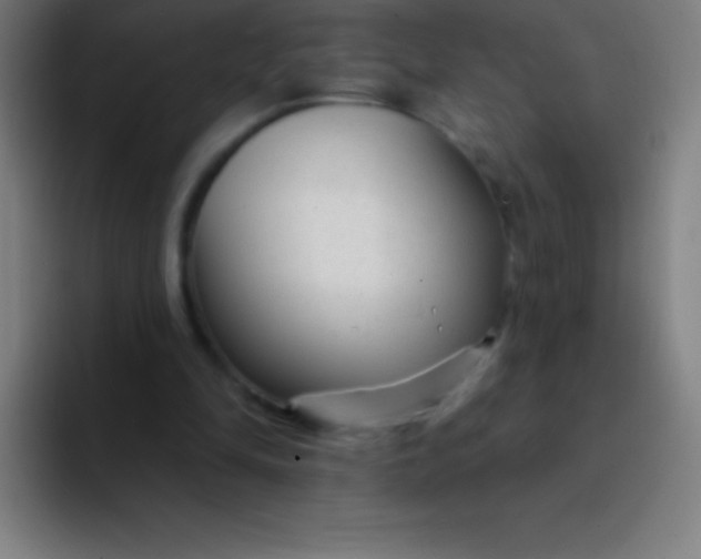 X0000094350294200711162035