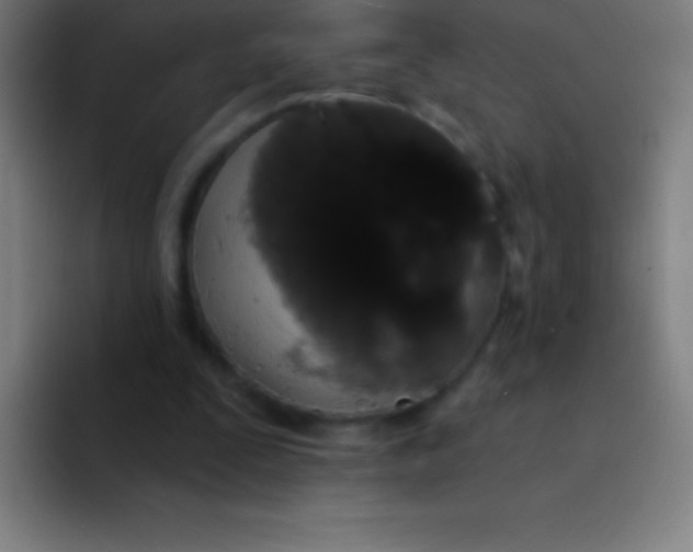 X0000094350295200711162035