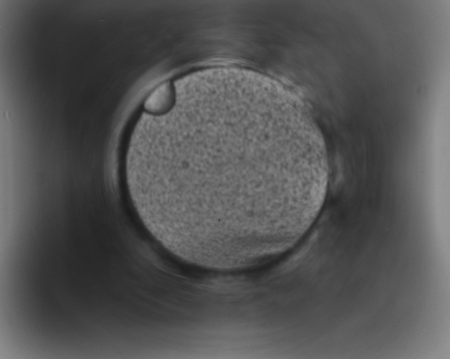 X0000094350296200711162035