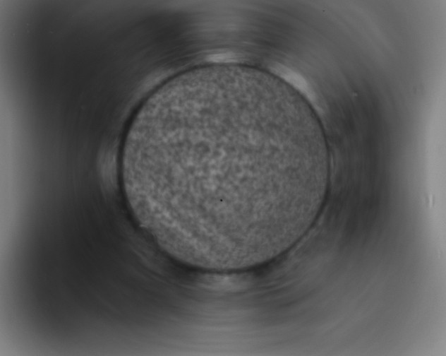 X0000094350297200711162035