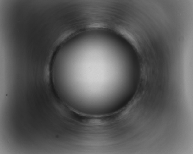 X0000094350298200711162035