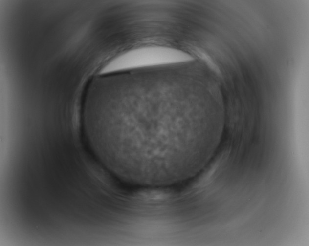 X0000094350299200711162035