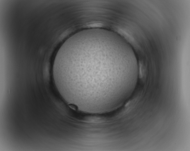 X0000094350300200711162035