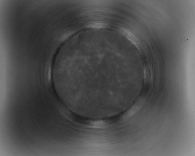 X0000094350301200711162035