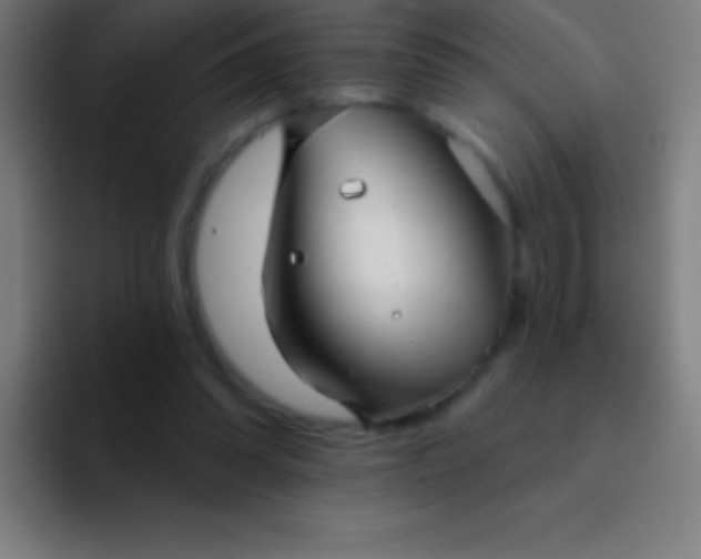 X0000094350302200711162035