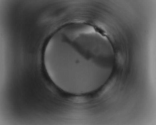 X0000094350303200711162035