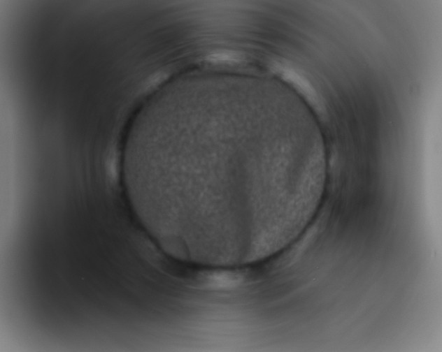 X0000094350305200711162035