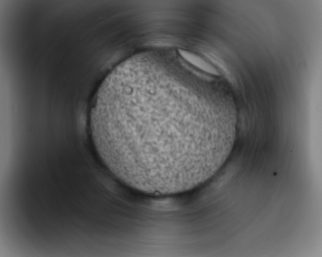 X0000094350309200711162035