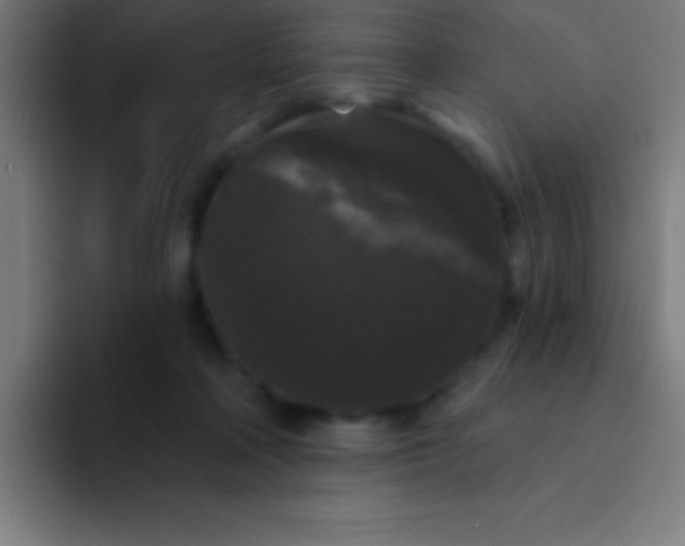 X0000094350314200711162035