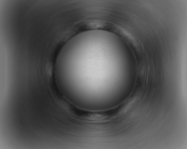 X0000094350315200711162035