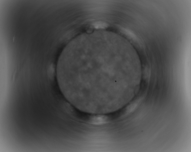 X0000094350321200711162035