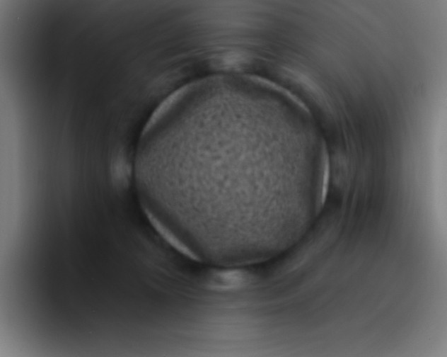 X0000094350324200711162035