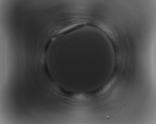 X0000094350325200711162035