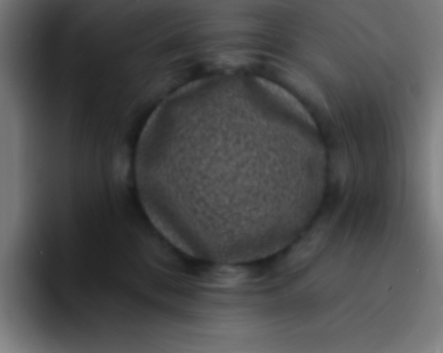 X0000094350328200711162035