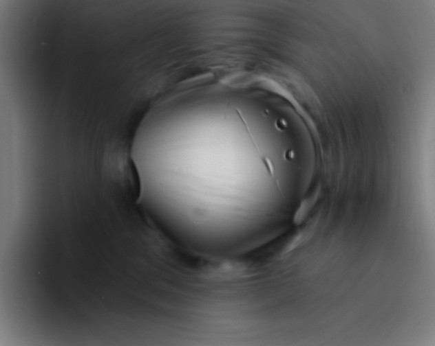 X0000094350329200711162035