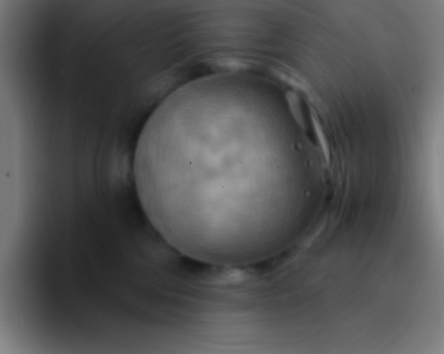 X0000094350330200711162035