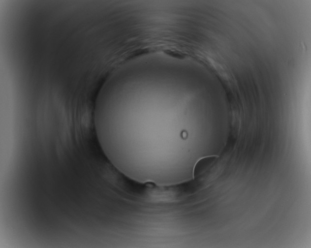 X0000094350331200711162035