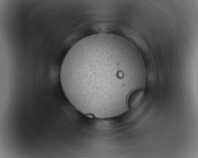 X0000094350332200711162035