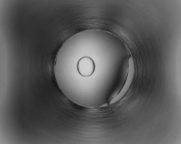 X0000094350333200711162035