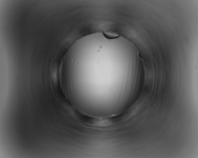 X0000094350334200711162035