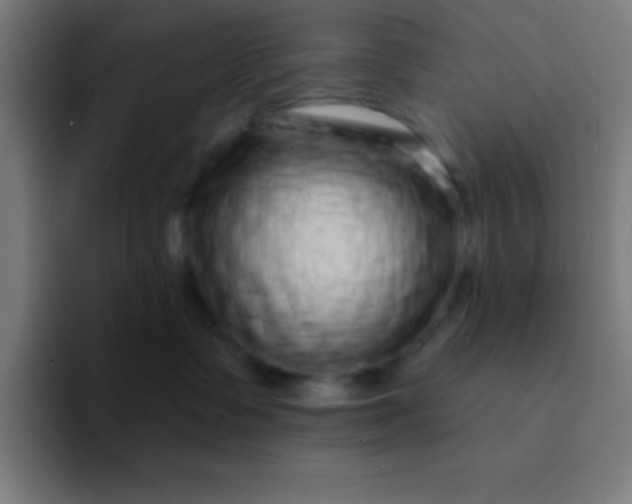 X0000094350335200711162035