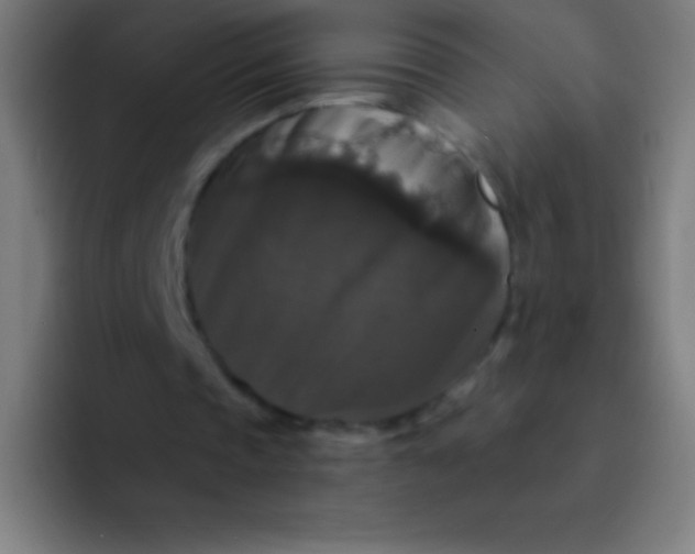 X0000094350337200711162034