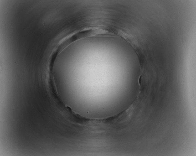 X0000094350338200711162034