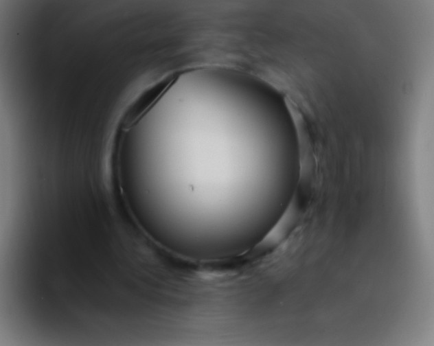 X0000094350340200711162034