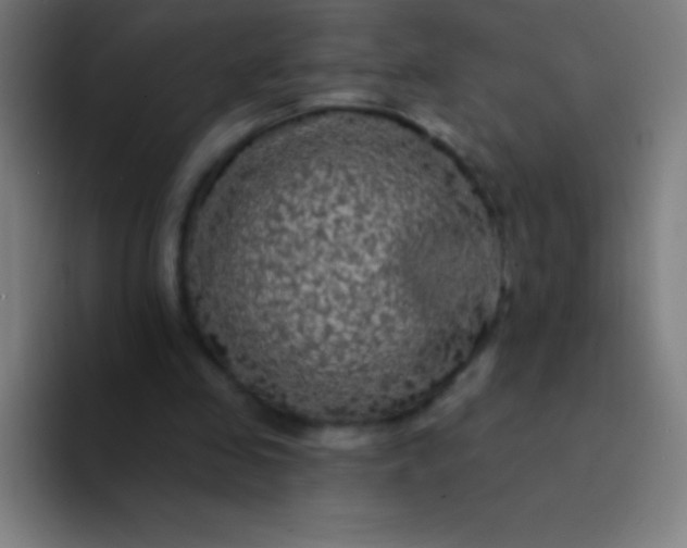 X0000094350341200711162034