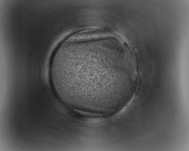 X0000094350342200711162034