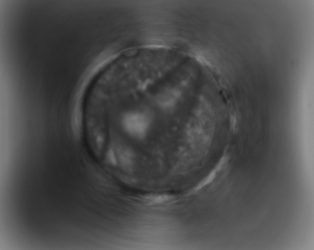 X0000094350343200711162034