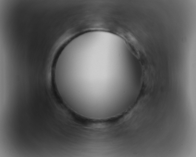 X0000094350344200711162034