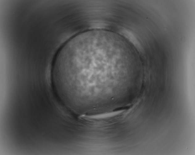 X0000094350346200711162034