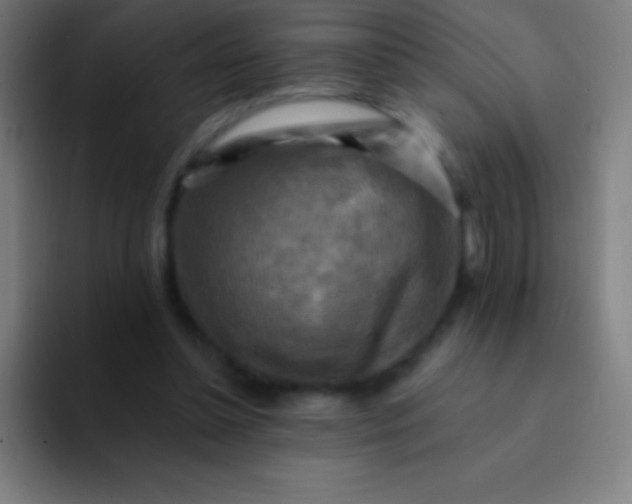 X0000094350348200711162034