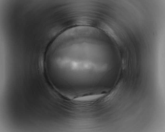 X0000094350349200711162034