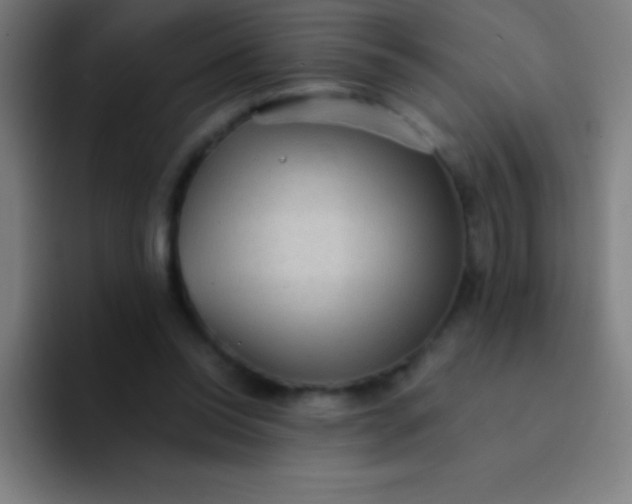 X0000094350350200711162034